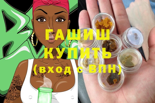стаф Алексин